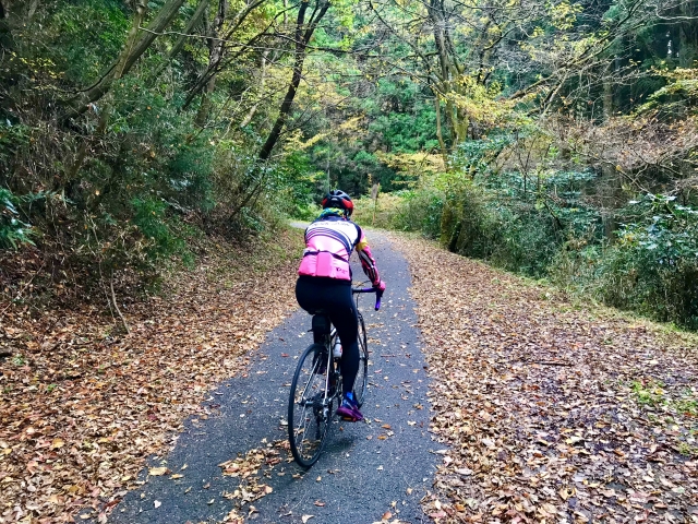 アイテムを装備している自転車の画像