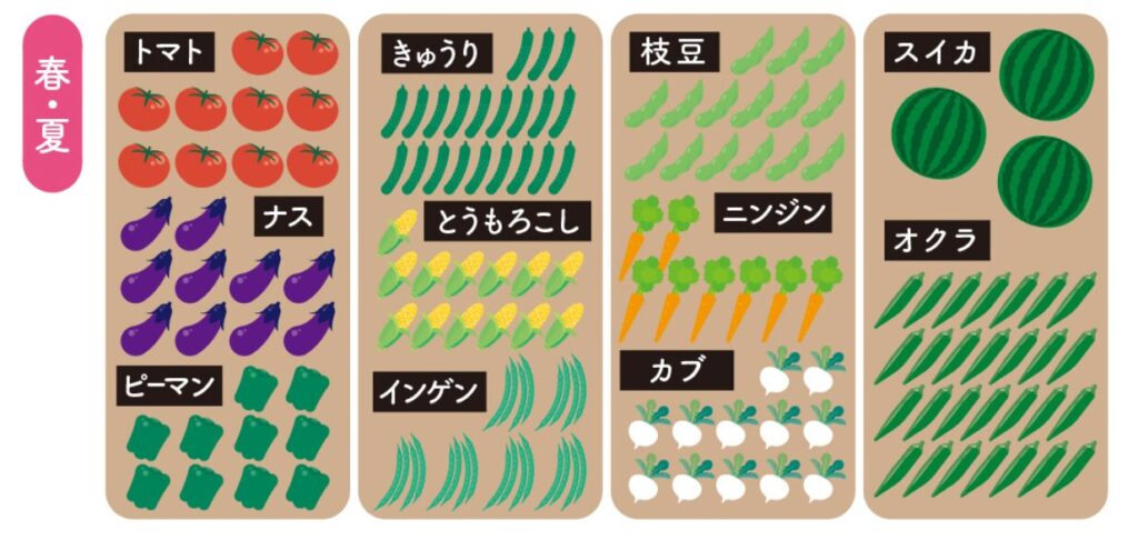 シェア畑の作物一例の画像