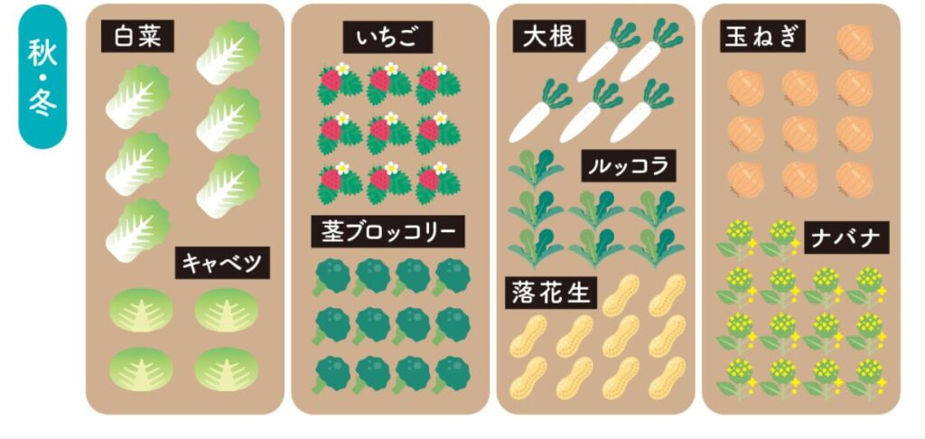 シェア畑の作物一例の画像