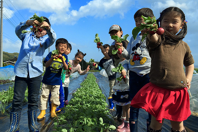 シェア畑で野菜を取る子どもたちの画像
