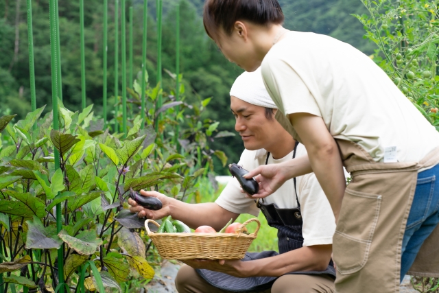 畑作業をする夫婦の画像