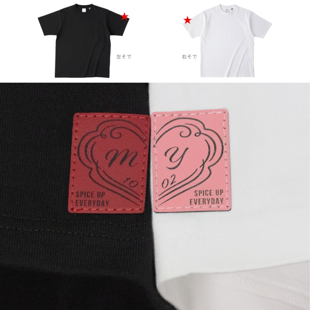 LAUSSのTシャツの写真