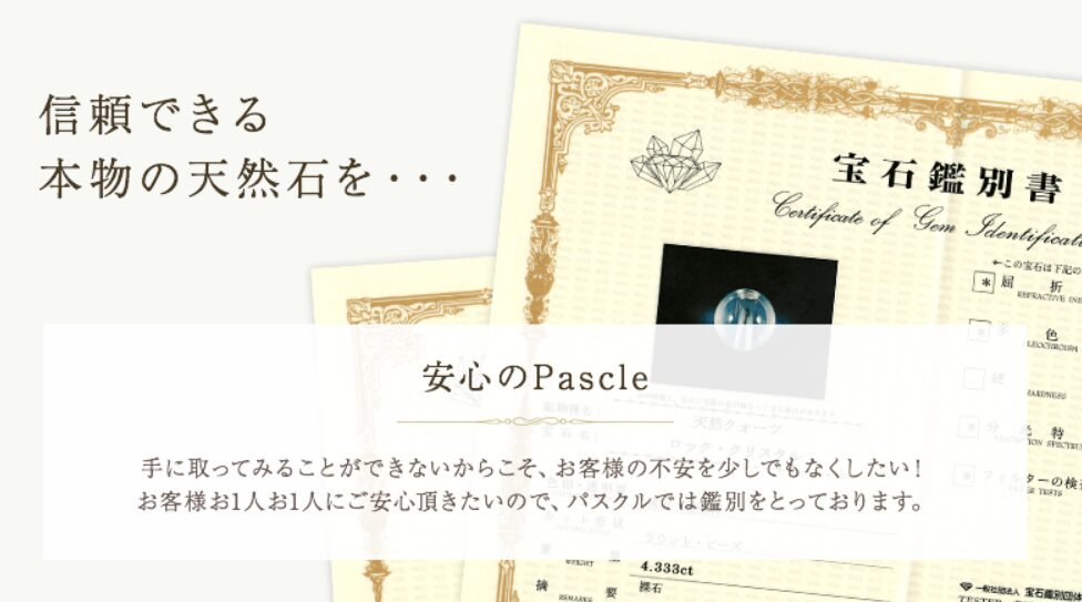 パスクルの鑑別書の写真