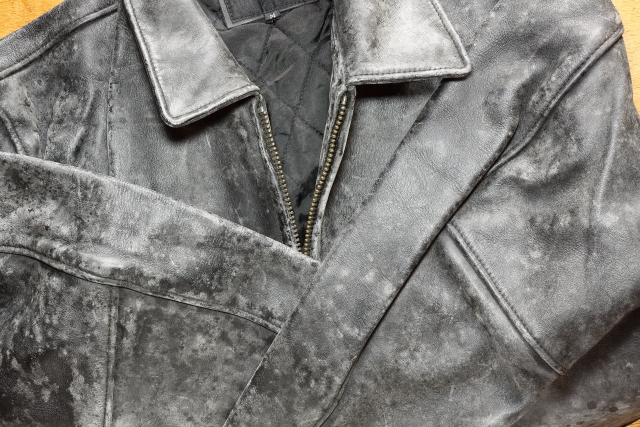 中度のカビの写真