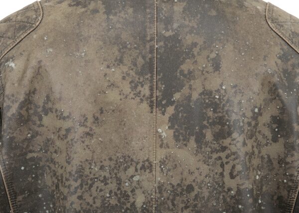 重度のカビの写真