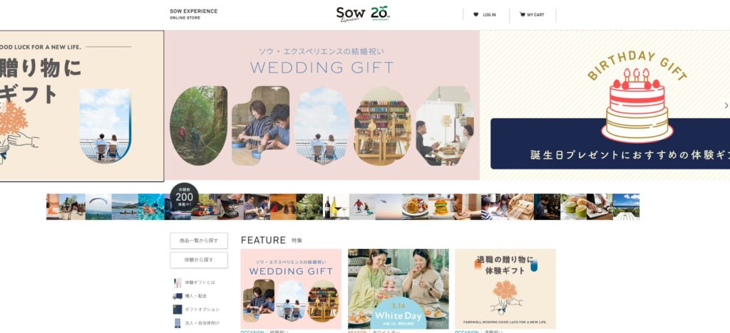 SOW EXPERIENCEのHPの画像