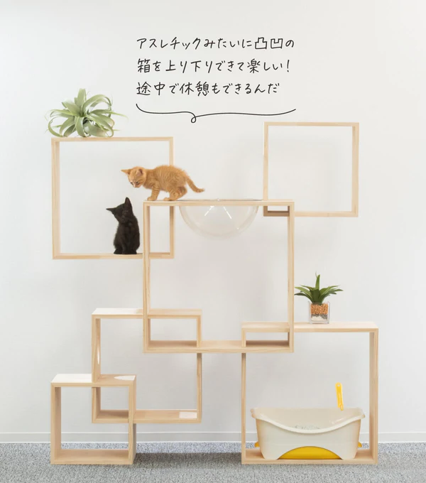猫のための木工所の公式HP写真