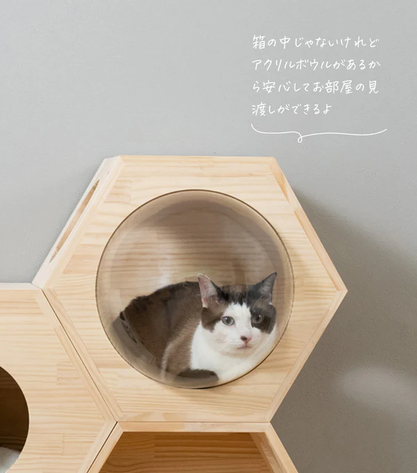 猫ハウス&キャットタワー 六角BOXセット（連結用）の写真