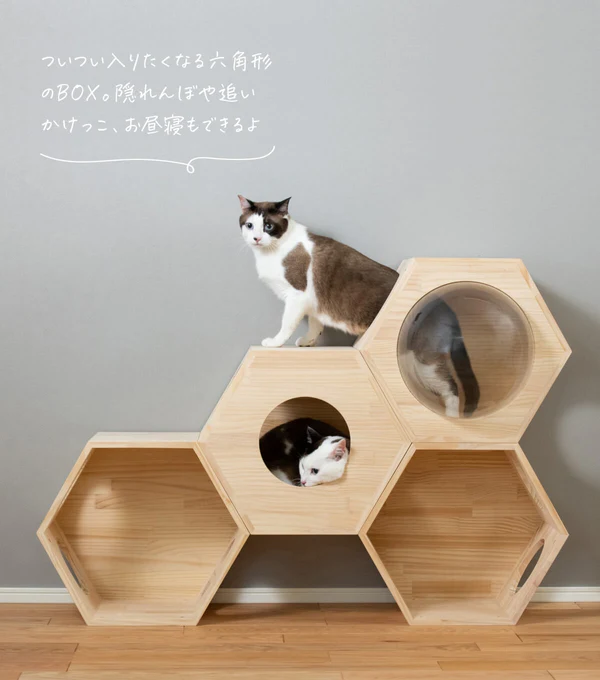 猫ハウス&キャットタワー 六角BOXセット（連結用）の写真