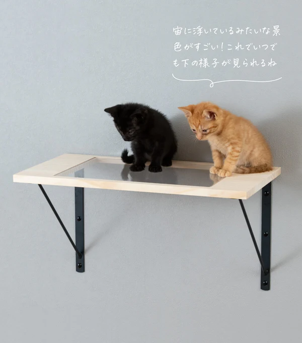 猫のための木工所の公式HP写真