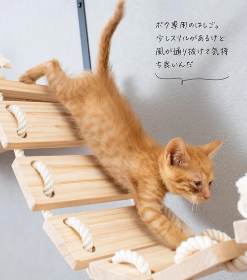 猫のための木工所の公式HP写真