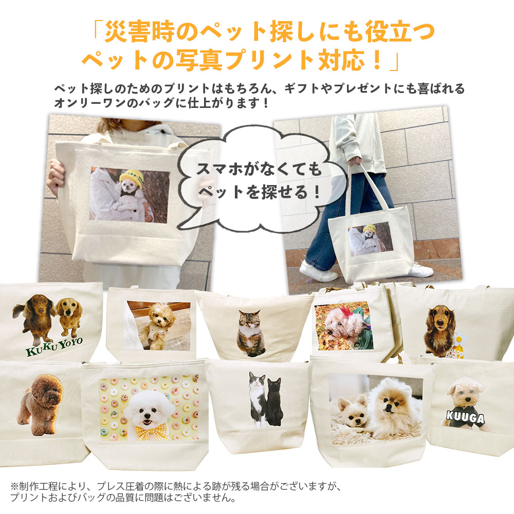 Paws＆Prepの防災バッグの写真