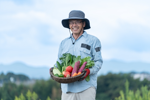 野菜を持っている農家の写真