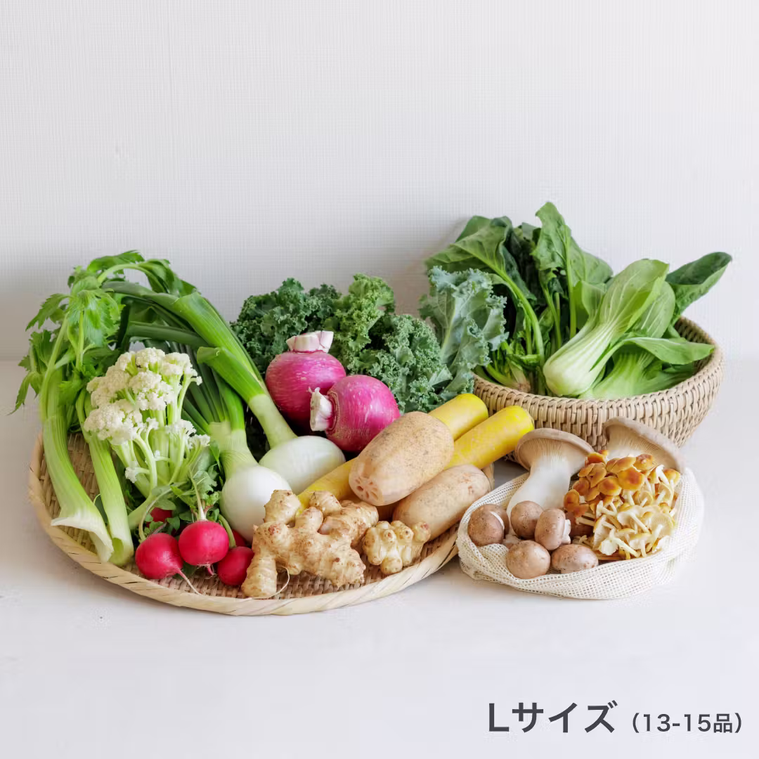 坂ノ途中のLサイズの写真