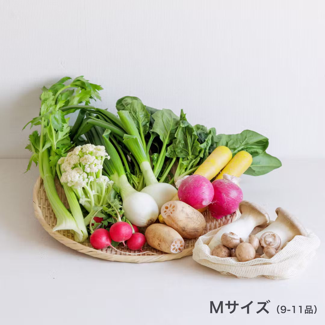 坂ノ途中のMサイズの写真