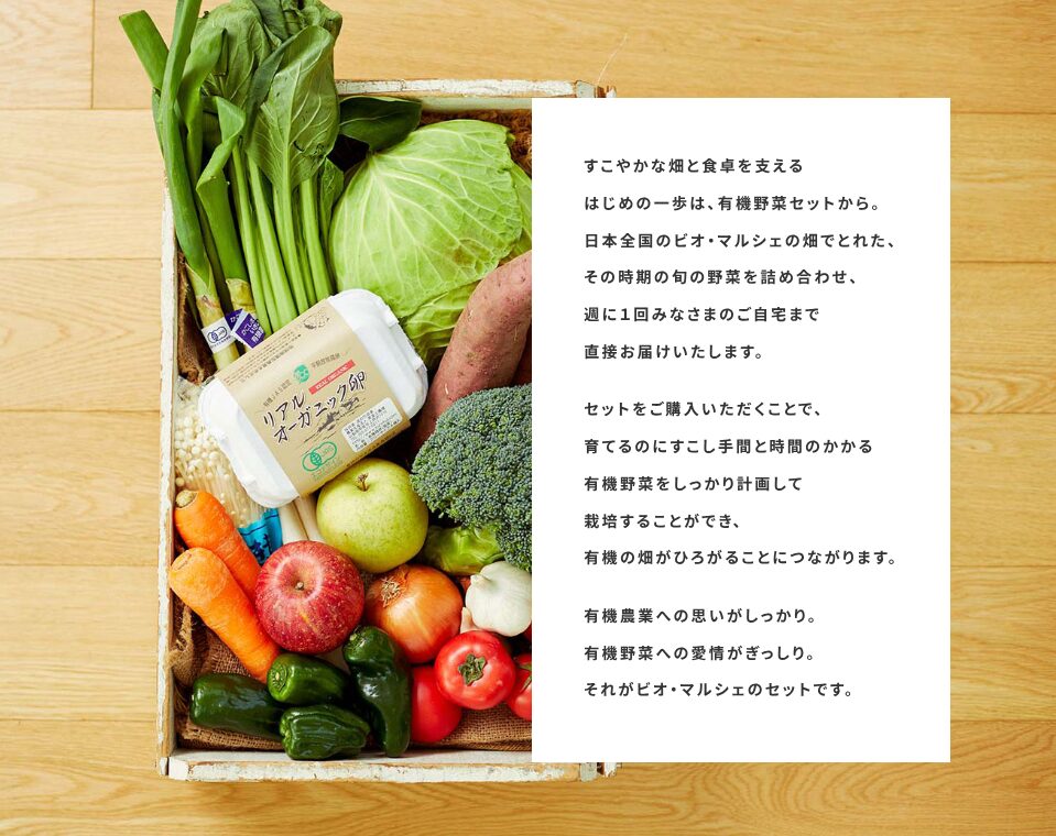 ビオ・マルシェの野菜セットの写真