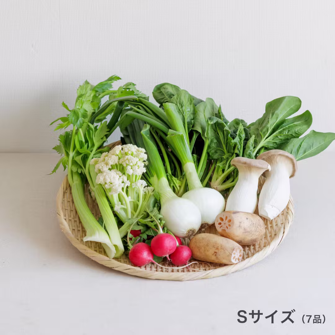 坂ノ途中のSサイズの写真